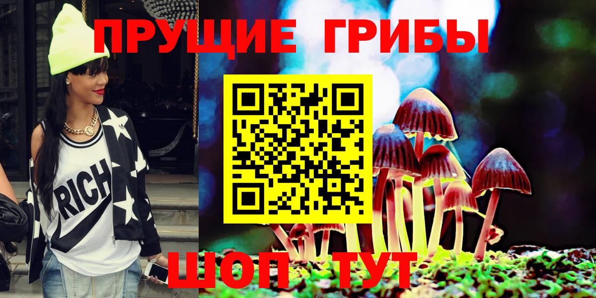 Нурлат  Галлюциногенные грибы Cubensis  Вход с VPN 