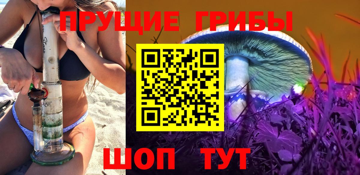 Галлюциногенные грибы Psilocybe Нурлат